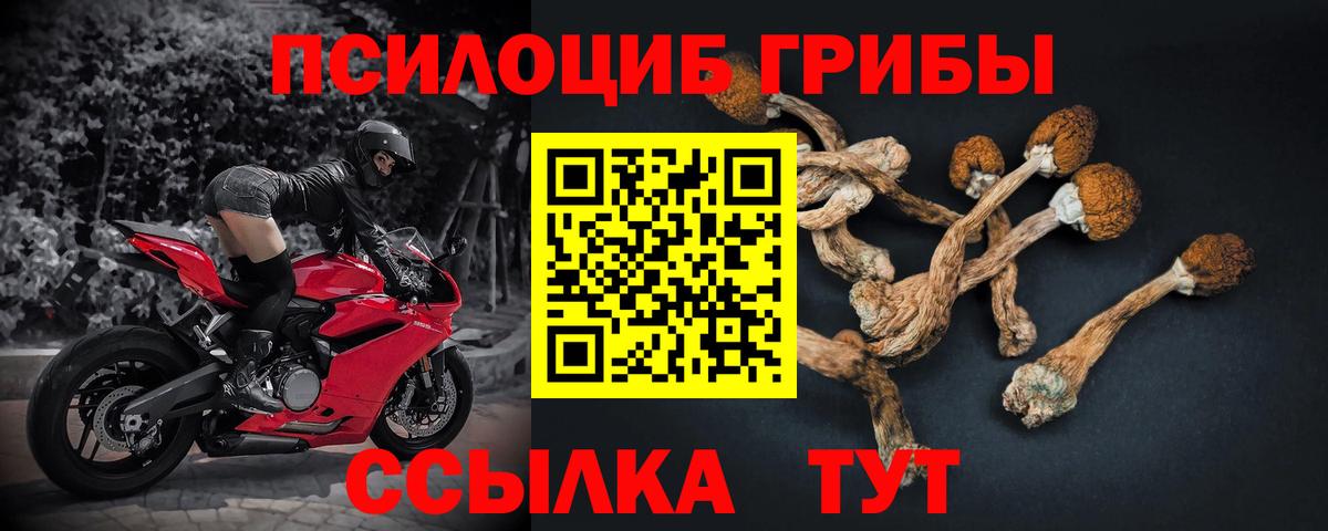 Псилоцибиновые грибы ЛСД  где купить наркотик  Махачкала  Вход с VPN 